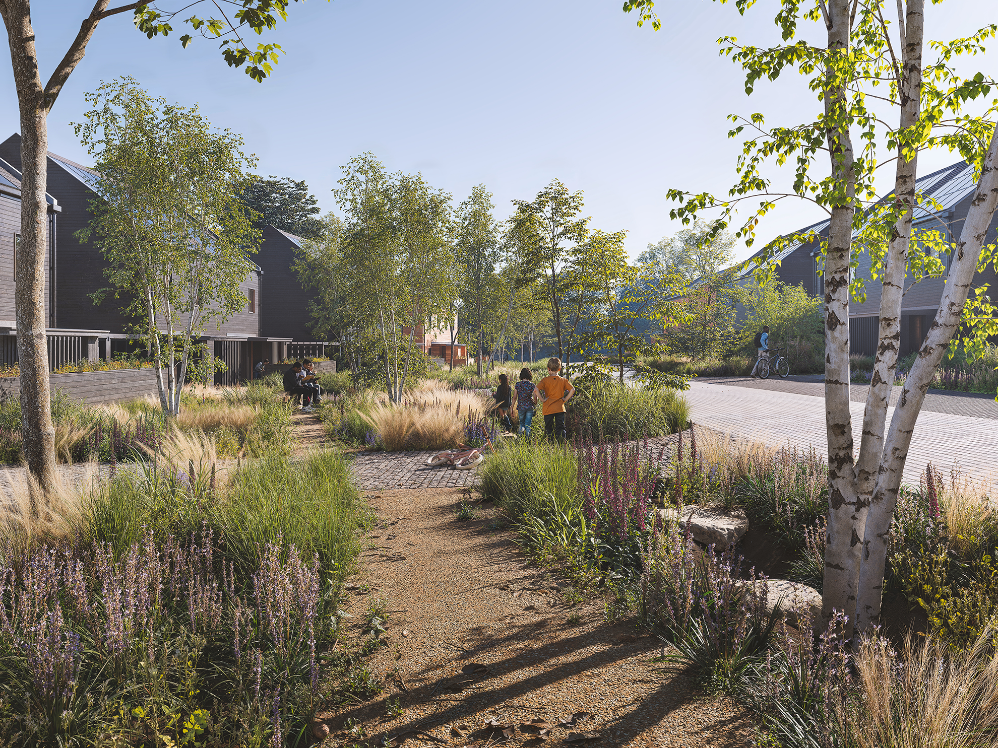 250612_Oxhey_View03_RainGardens_Final_v01